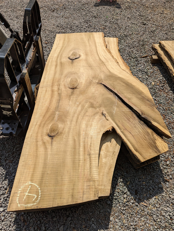 Poplar Slab - 04